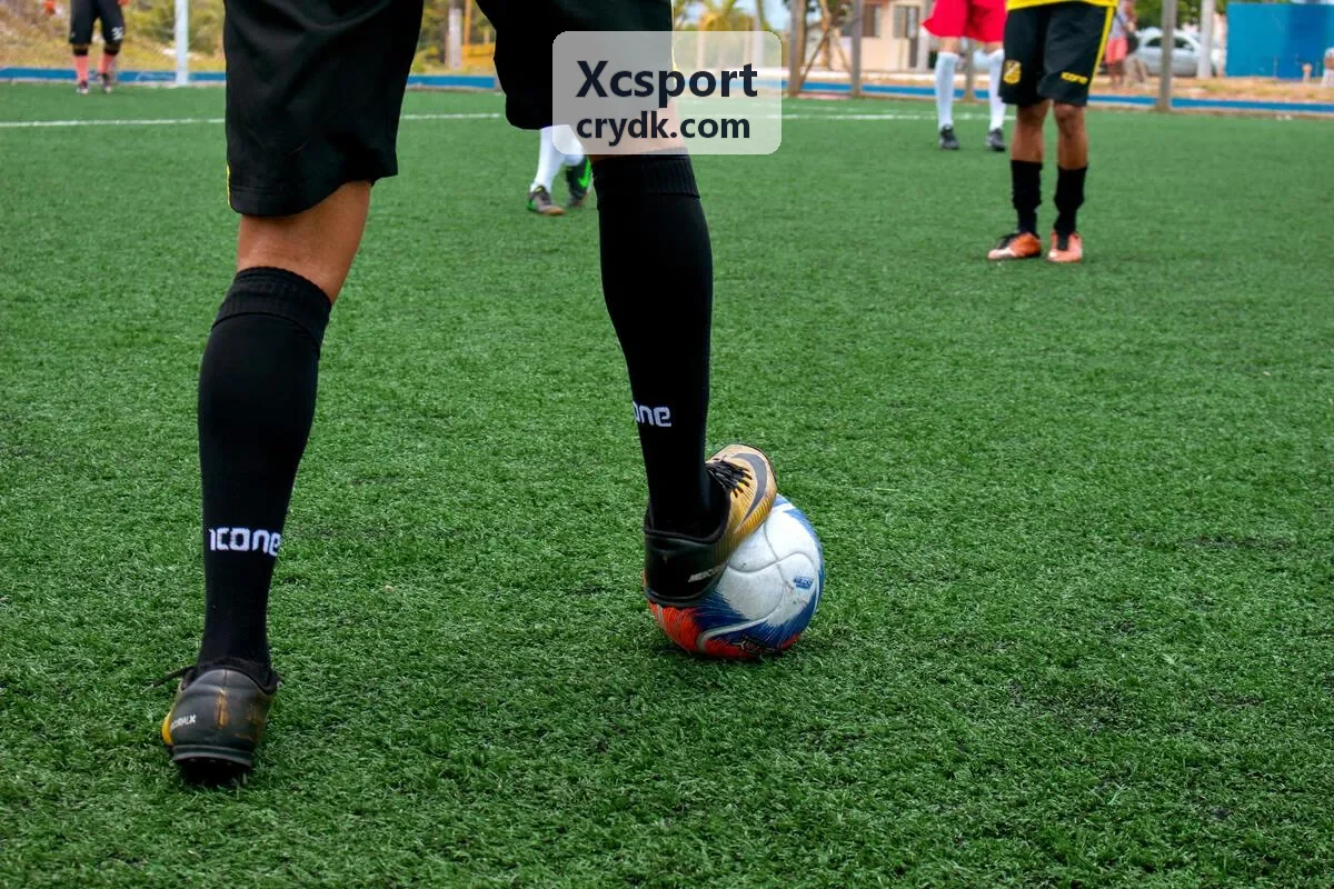 Xcsport 极限运动训练现场